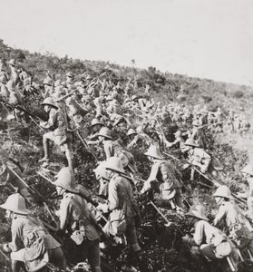 The true bulldog rush of our troops at the Dardanelles